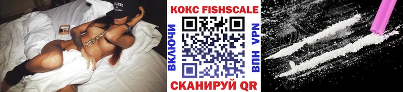 Cocaine FishScale  Купить  Киренск 