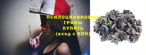 дмт Кадников