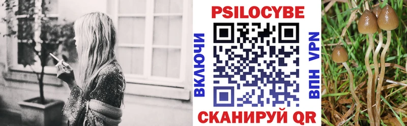 Купить закладки  Киренск  Псилоцибиновые грибы Magic Shrooms 